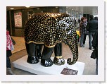 Olifanten parade Heerlen 024 * 2048 x 1536 * (954KB)